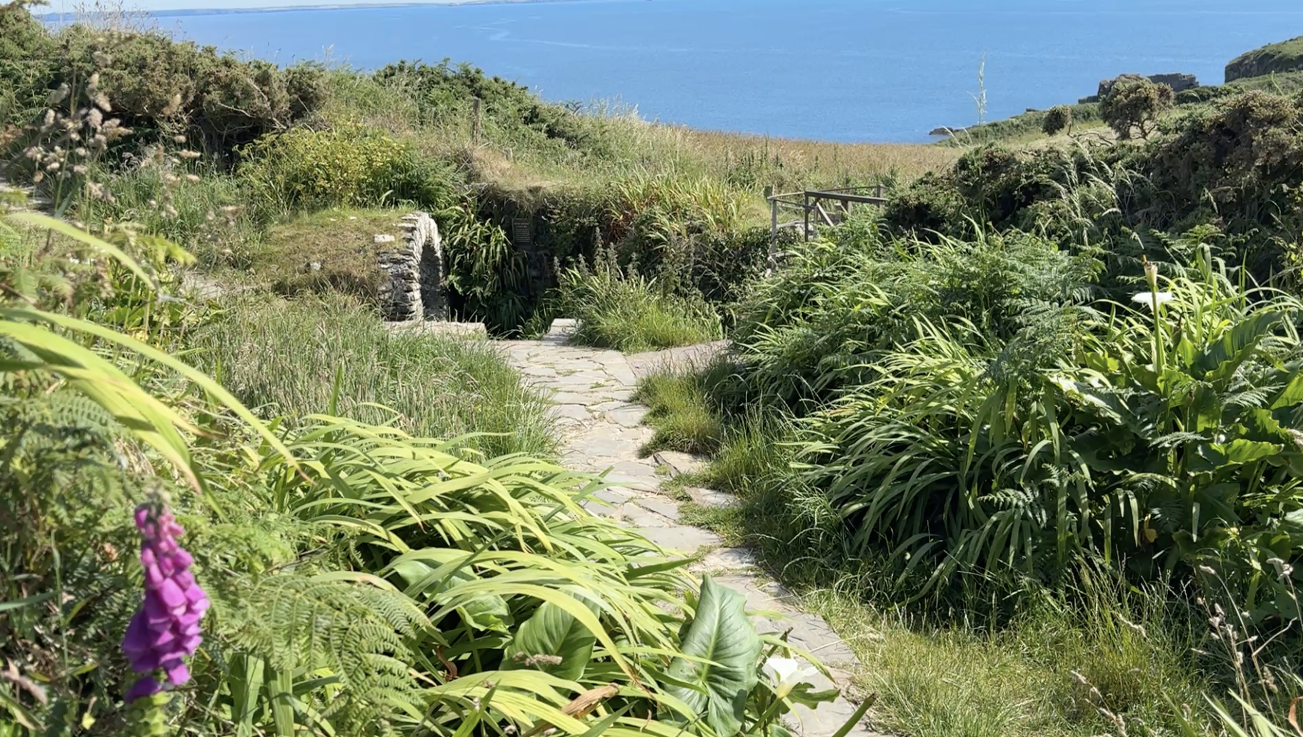 Pilgrim's Journal — St Davids: St Non's Well