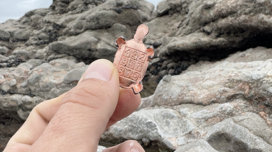 Pilgrim’s Journal — Ogmore-by-Sea: The Turtle